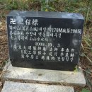정상퇴비 티스토리