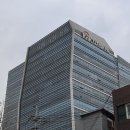 국수나무KNK