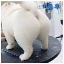 강아지 미용실 이미지