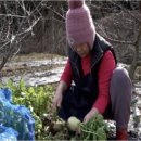 반달식당 이미지