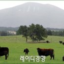 봉화축산유통 이미지