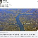 갯벌소리 이미지