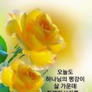 오늘도 이미지