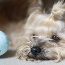 클러스터라운드 이미지