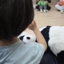 T G O게임타운 | 4월 만지는 영어놀이 후기 표정, 색깔, 동물 이름