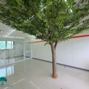 느티나무공인중개사사무소 이미지