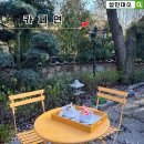 연 | 한옥 감성 충전! 김포 카페연 후기 (벚꽃 시즌 방문)
