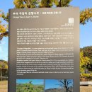 《초과수익 바이블》_세계적 대가들의 &#39;주식투자 절대 원칙&#39; 종합 정리판_「가치투자」의 교본...