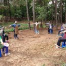 여주-1100 이미지