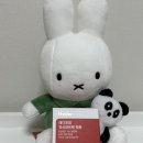 레디포맘