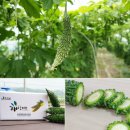 해찬농장 이미지