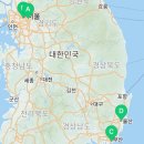 도그마루 강아지 고양이 마포용산점 이미지