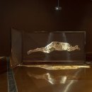 최찬숙 카카오 검색결과