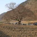 섬진강약국 이미지