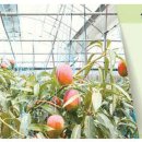 작동농장 이미지