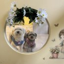 사하구 다송로 72번길 이미지