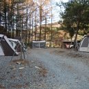 감악산 캠핑숲 이미지