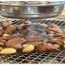 민들레화로