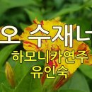 하모니카와 음악여행 이미지