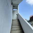 목동역 2번출구 | 목동역 카페 엘리제이 예쁜 타르트가 유명한 감성카페