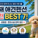 추암일출펜션 | 동해(강원도) 애견펜션 추천 BEST 7! 반려견과 함께 가기 좋은 숙소 총정리