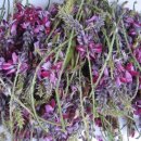 율곡농장 이미지