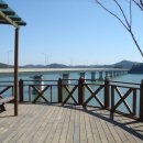 달강이네 이미지