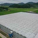 서부차유리