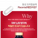 옻안타는천연염색(불광점)