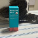 솔루션파트너스 - 22811 | 문제성 발톱 홈케어, 카리오스 올인원 리페어 솔루션 거품나는 앰플 후기