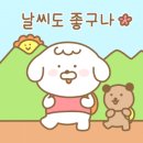 봄마트 이미지