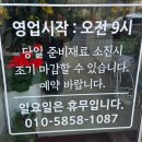 일산망개떡 | 일산 떡 맛집 추천 일산망개떡 내돈내산 후기
