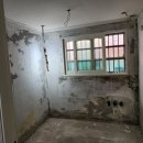 개나리 | 관악구 신림동다가구주택 반지하 도배장판 시공사례