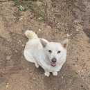 나누리농원 이미지