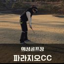 온그린 골프장 | 의성골프장 파라지오CC 3부 라운드 그린상태 후기!