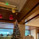 상해 호텔 추천 래디슨 컬렉션 하이랜드 상하이 Radisson Collection Hyland Shanghai