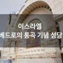 라이온렌트카 이미지