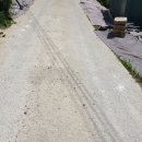 봉오리농장 이미지