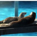 오-월드 이미지