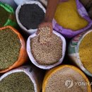 38PC 이미지