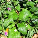 그룸그룸 이미지