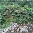 숲속의 하얀펜션 이미지