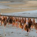 오복민박 이미지