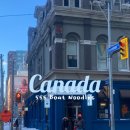 555 | 토론토 다운타운 정통 태국식 보트 누들 맛집｜555 Boat Noodles – Thai Mart 솔직 후기