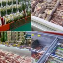 바다식자재할인마트 이미지