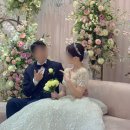 엘몽드 | W7. 디어비바(구.엘몽드) 드레스 피팅 1~2차 후기