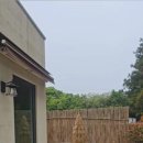 제주하뭄 이미지