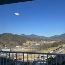 대명리조트 | [청송] 온천이 유명한 "대명리조트 소노벨" 스위트 스탠다드 파크 뷰 숙박후기(클린룸)