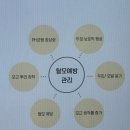 경기도 수원시 팔달구 인계로 | [수원/팔달] 인계동 두피관리에 진심인 "탑스칼프 수원점"에서 받은 탈모 관리 후기