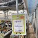 육남매농장 이미지